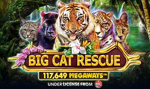 Imagem do jogo Big Cat Rescue Megaways no 4win